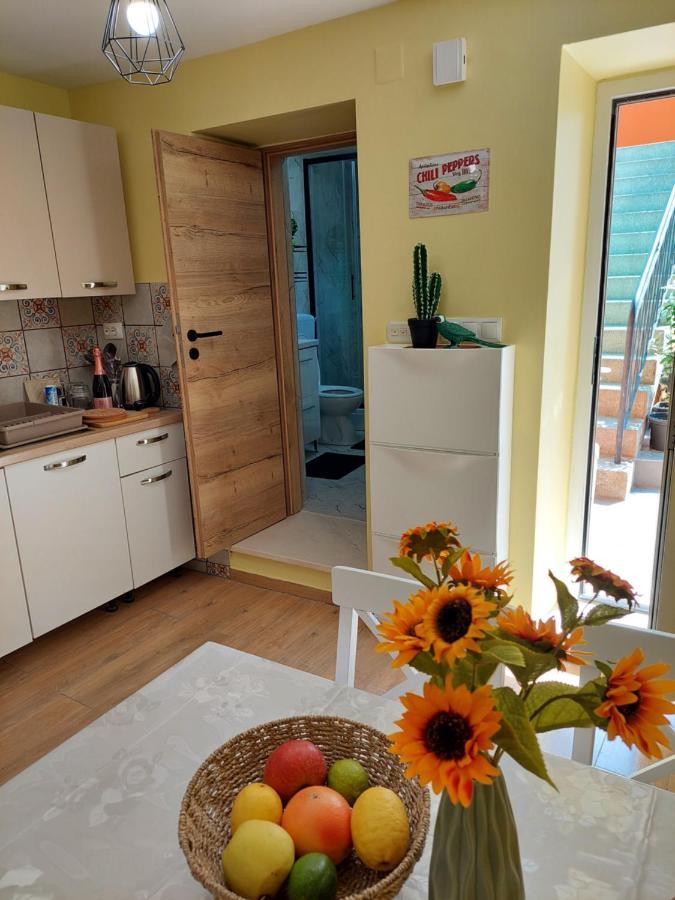 Mexicana Apartment Yellow Zadar Exterior photo