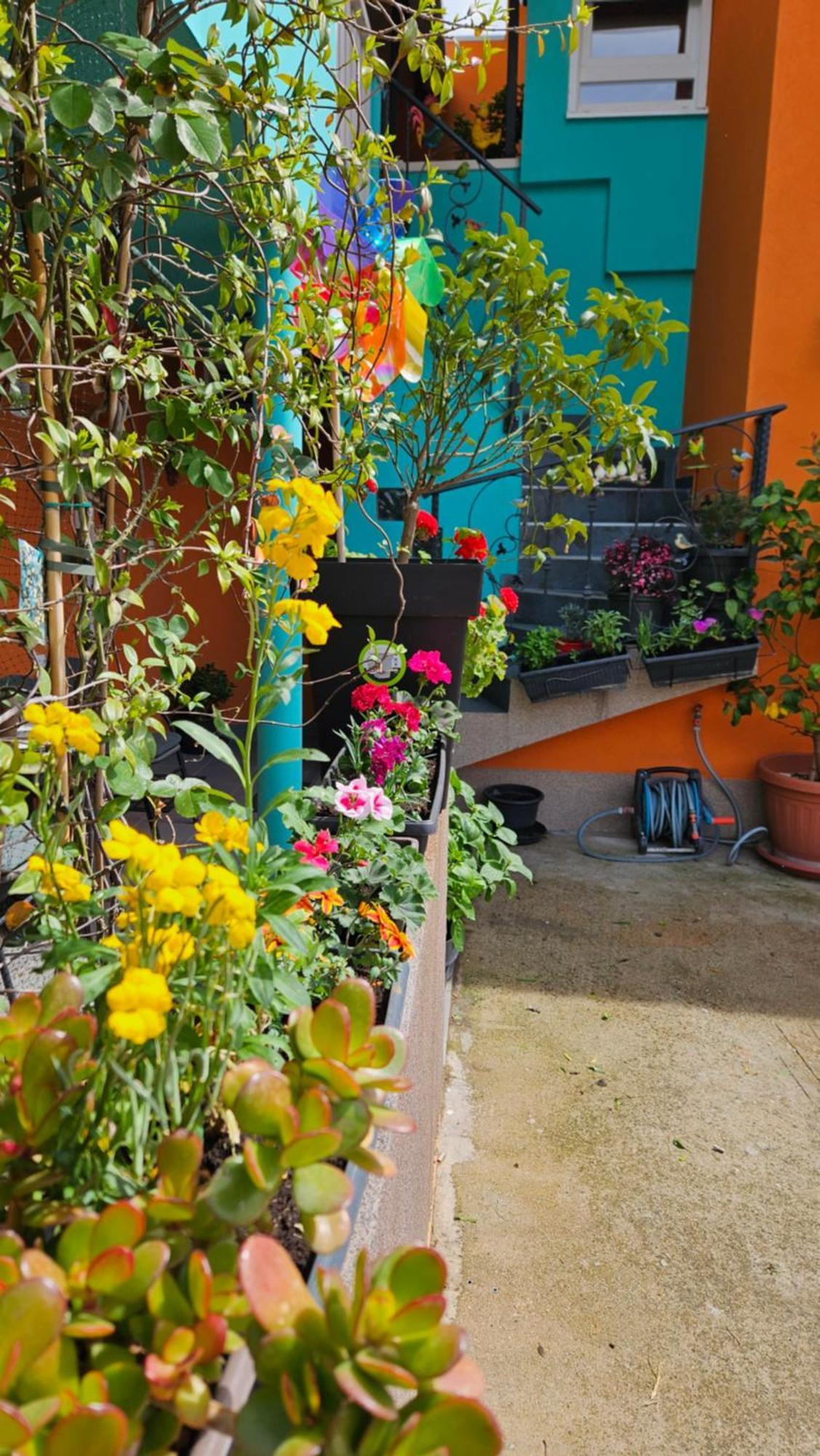 Mexicana Apartment Yellow Zadar Exterior photo